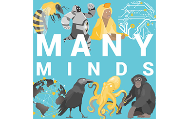 Many Minds Logo
